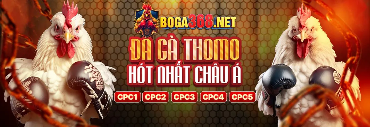 Hình ảnh gà chiến tại GA888