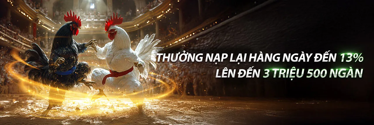 Sân đấu đá gà chuyên nghiệp tại GA888